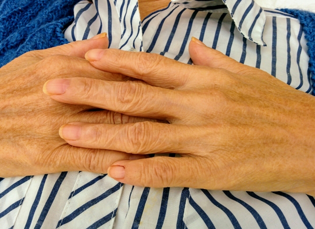 <a href="https://babel's artworksさんによる写真ACからの写真